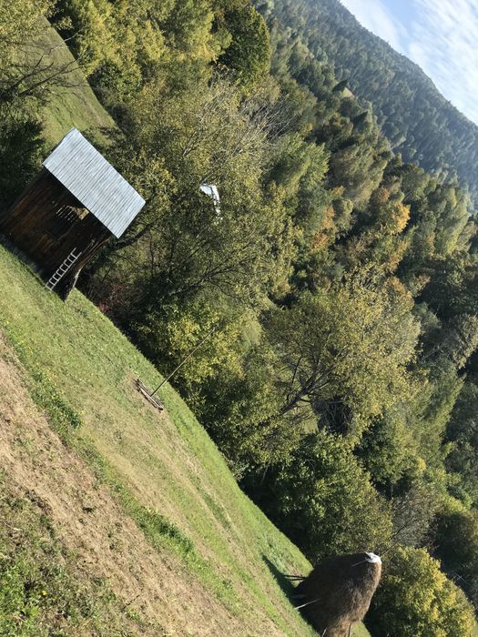 Afacere la cheie /pensiune/ proprietate/ teren 2 ha  de vânzare Hangu –Neamt