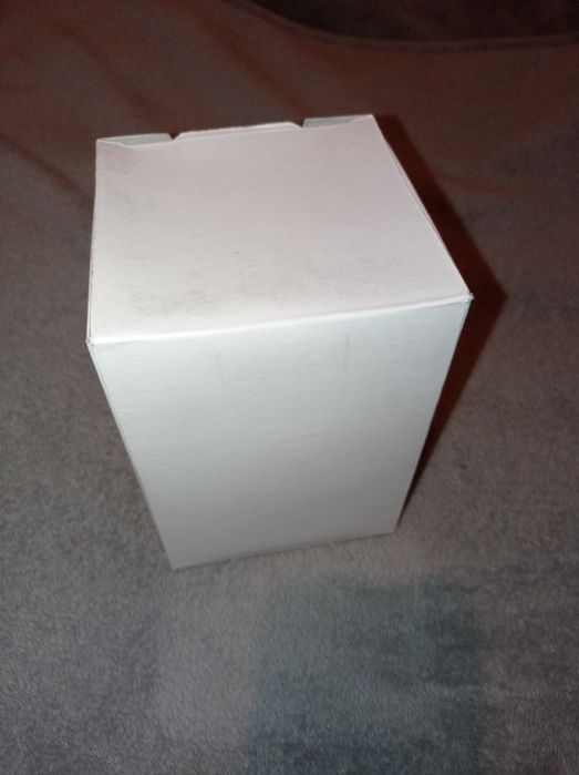 Стеклянный футляр