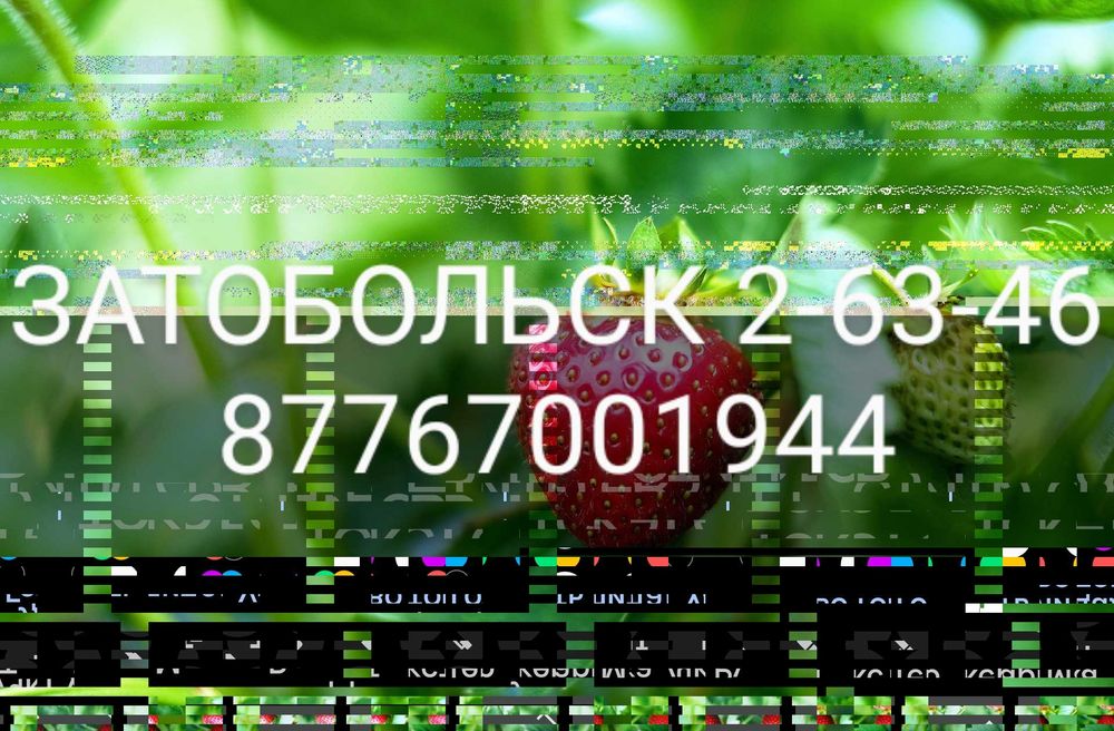 Клубника многоразовая