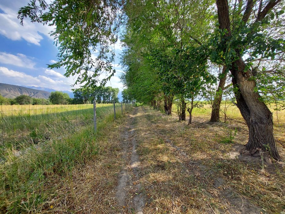 Сдается в аренду 2.2 га участок