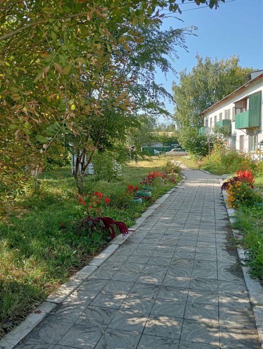 1 комнатная квартира в центре