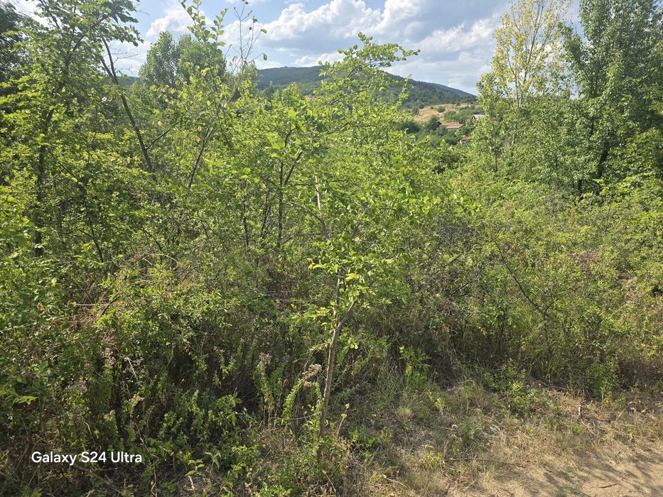 Продава се Парцел в София, Център - 810 кв.м за 19 €/кв.м - Снимка #9