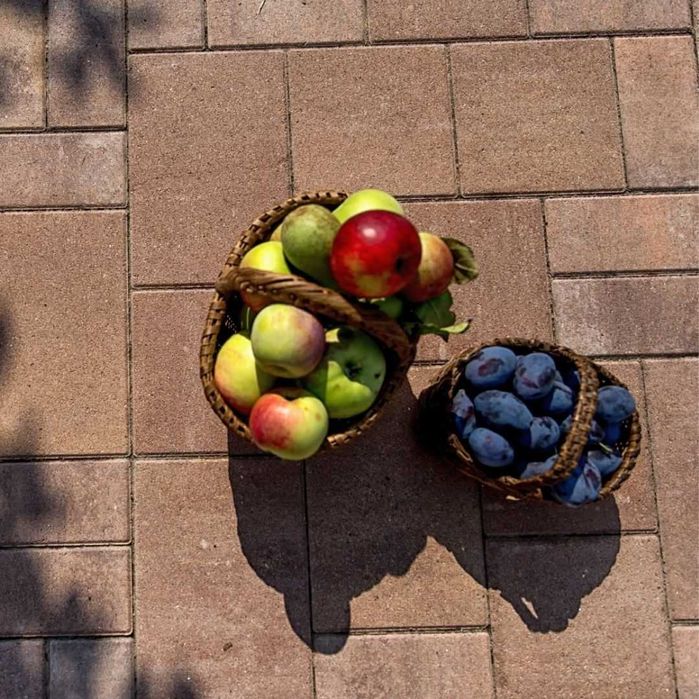 Pavaj Rettango Combi - 6 cm grosime