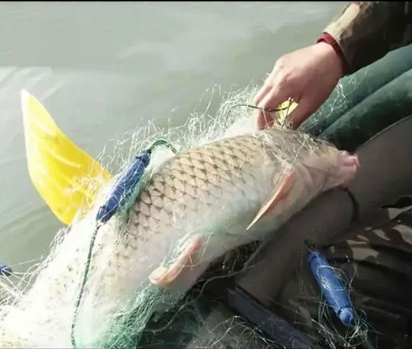 Setcă monofilament