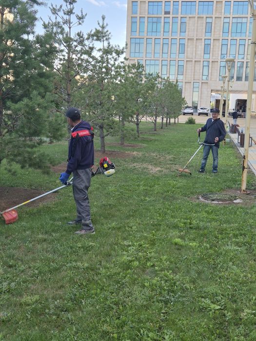Скос травы,спил и стрижка кустарника.