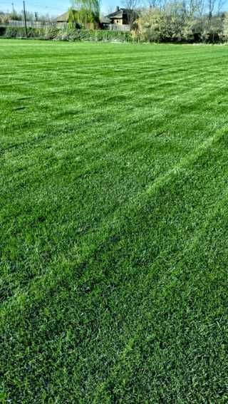 Gazon Rulou Premium – Transformă Terenul Într-un Parc