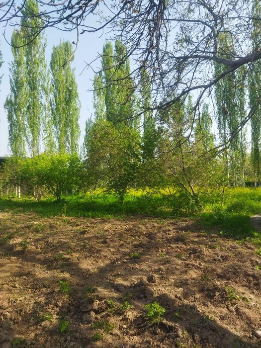 Er sotiladi 8 sot Boʻstonliq tumanida yangi oʻul mxalasida