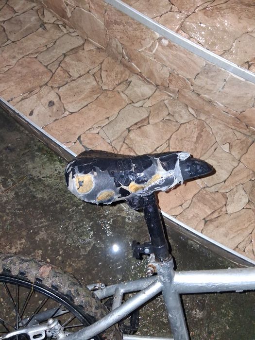 Bmx 2020 fără frâne