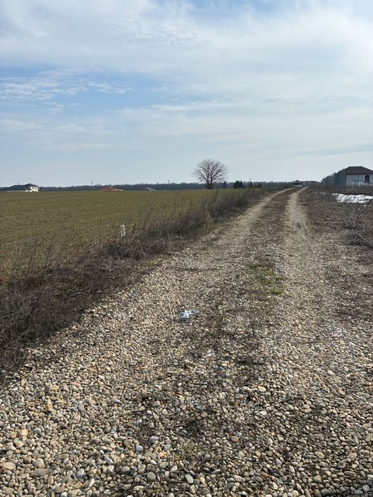 Teren Bălteni (Scroviștea) - Periș 1581 mp