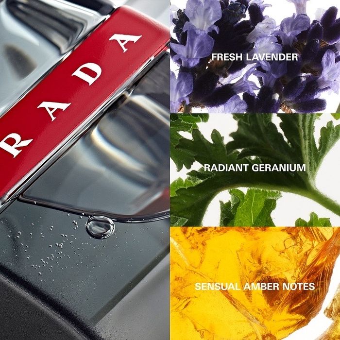 PRADA Carbon EDT 100 ml