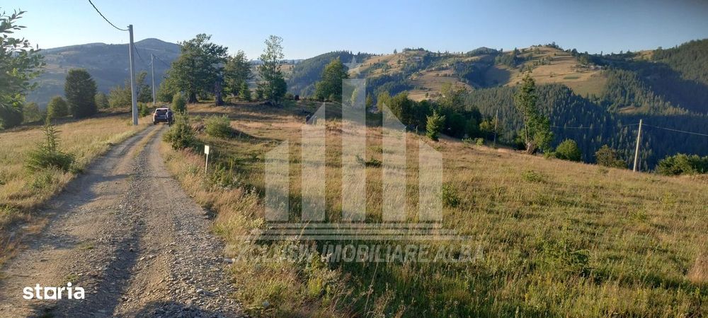 Teren intravilan | 3565 mp | Ideal constructie cabane | Garda de Sus