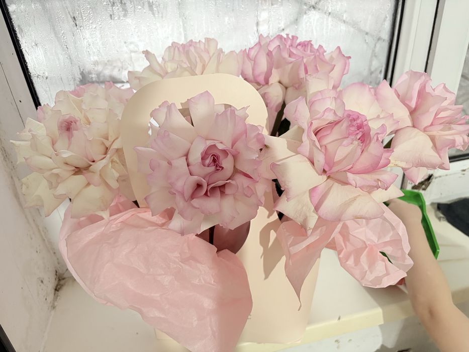 ЦВЕТЫ ГҮЛ Кеше келген