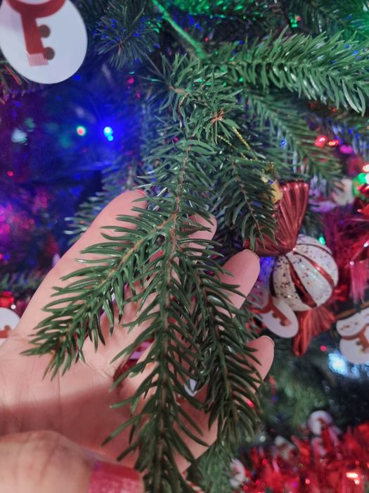 Brad integral 3d de 2,30m