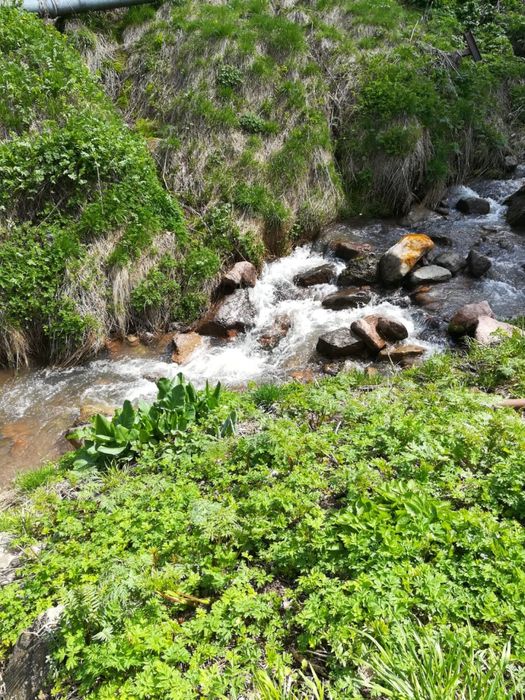 Дом в аренду «Дом у гор»