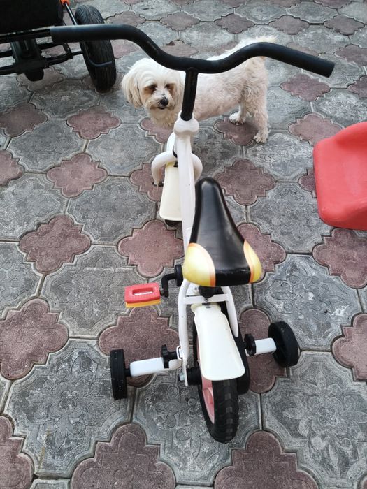 Bicicletă copii 10 inch cu roți ajutătoare (vârstă 2-4 ani)