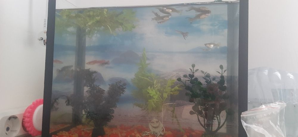 Рыбы разные продаётся