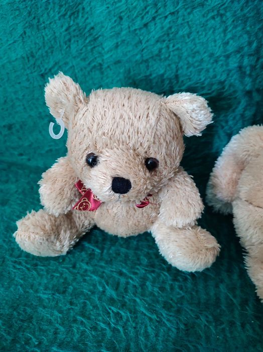 Плюшени Мечета и миньон