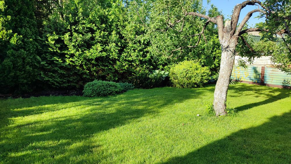 Продам дом в дачном массиве