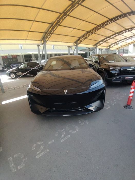 Changan depal s07 215 max