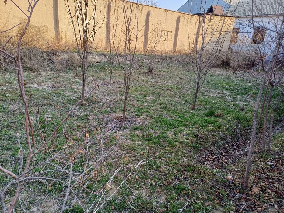 Уй сотилади Бешкент шахрида