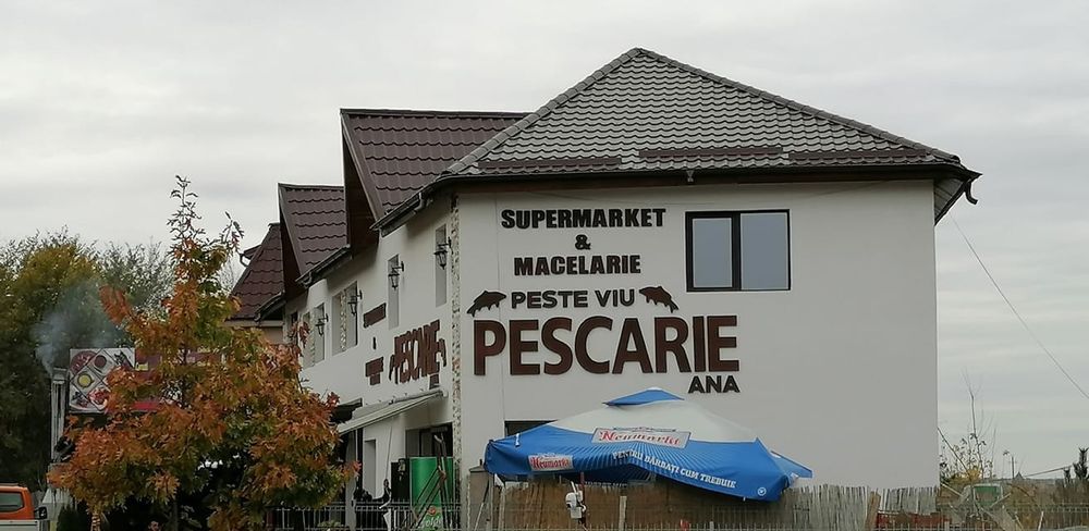 Decor Personalizat Litere Polistiren // Litere Polistiren