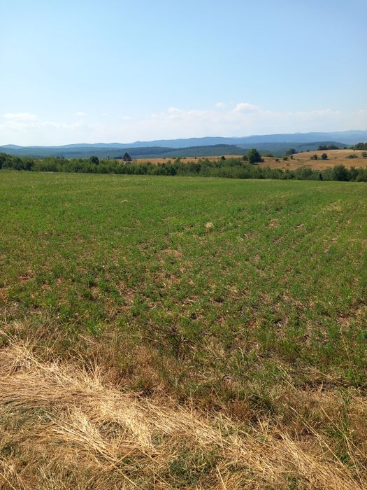 Teren de vânzare Ilisesti  în apropierea căminului de bătrâni