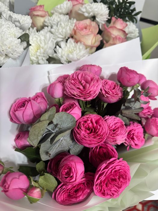 Цветы дёшево б/у