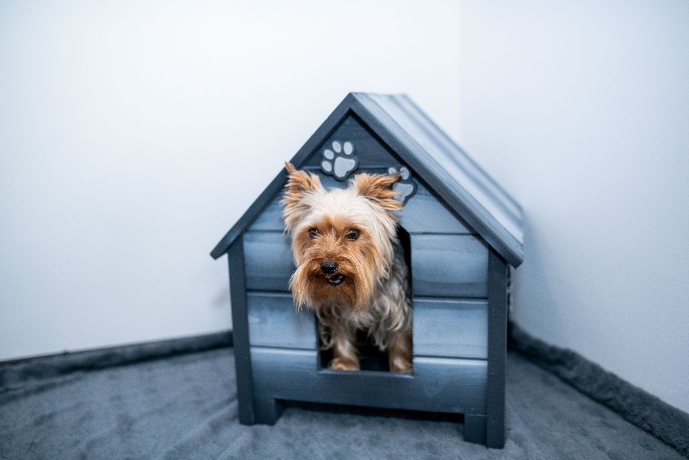 Приказна Къща за куче ,Къщи за кучета ,Колиби за кученца,Къщички