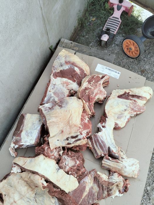 Продам мясо говядины 500000