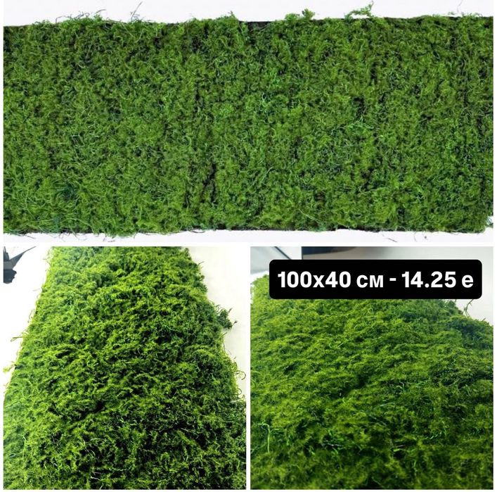 Пано изкуствен мъх, естествен горски мъх, естествен скандинавски мъх