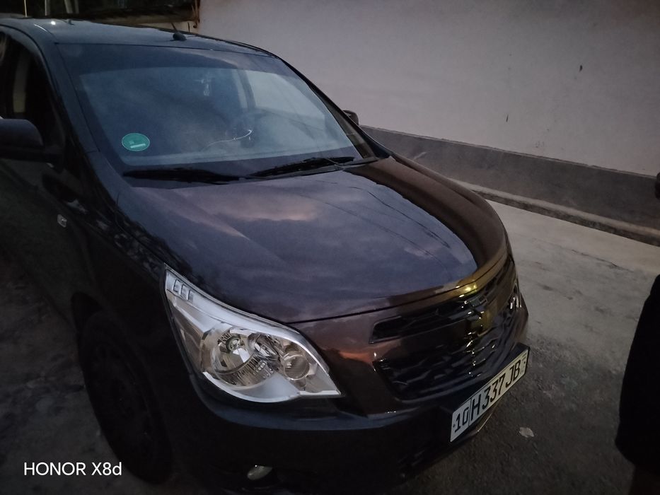 Kobilt kraska tozza 140 ming halol prabeg