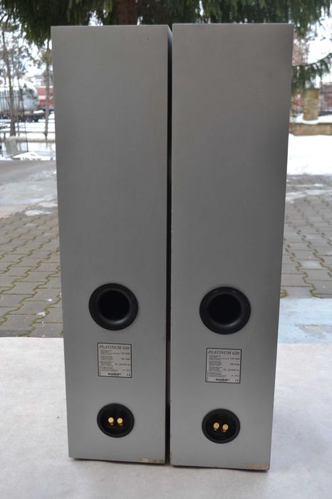 Boxe Quadral Platinum 620