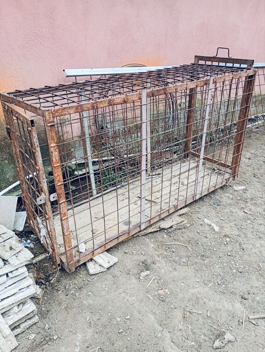 Cuscă transpot animale