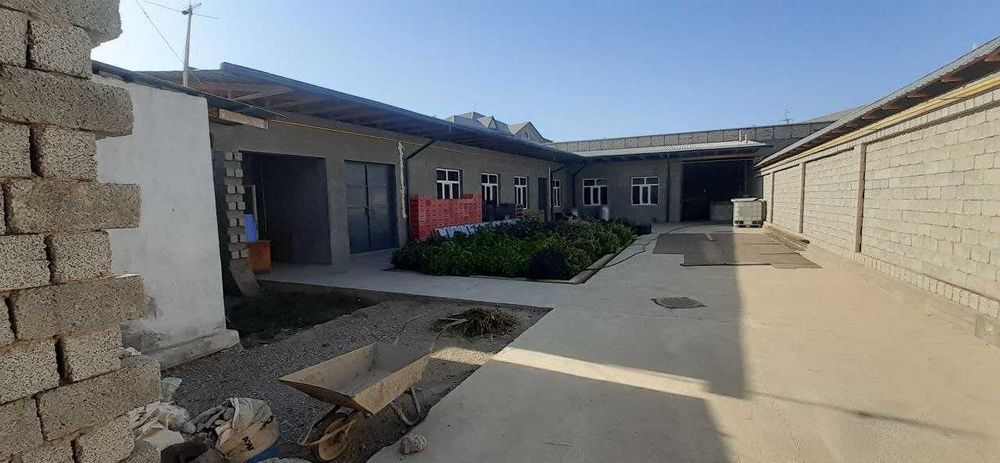 Kotta qanida joy bor