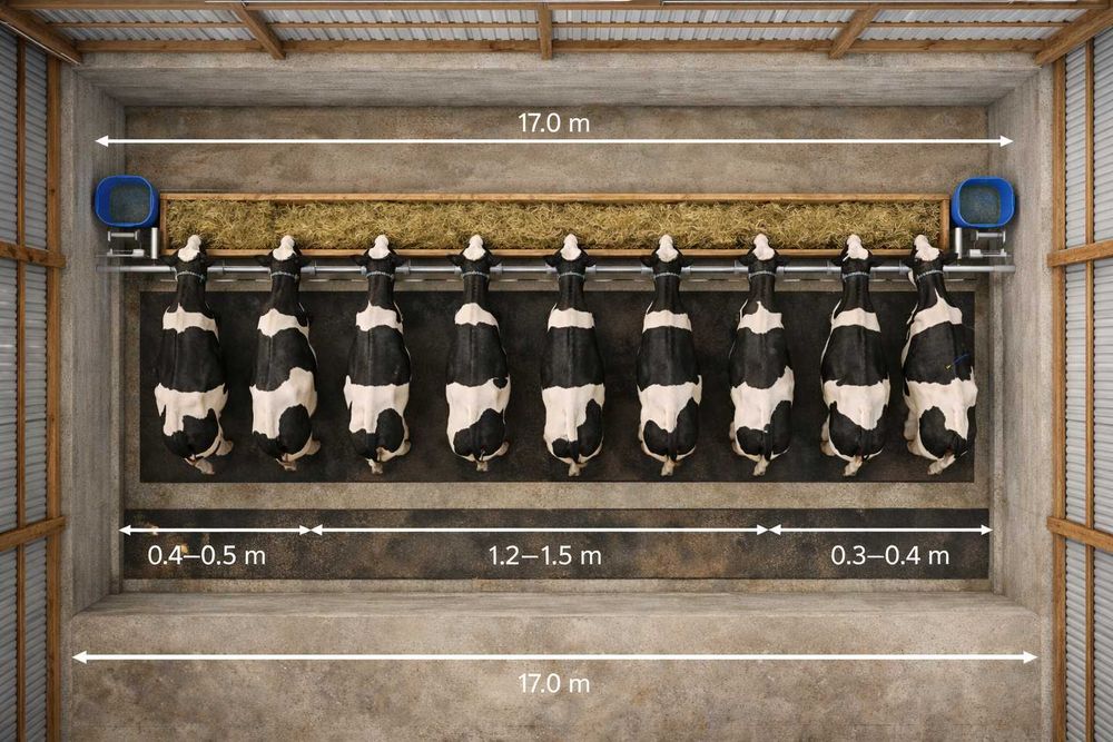 Мол хона ижарага берилади