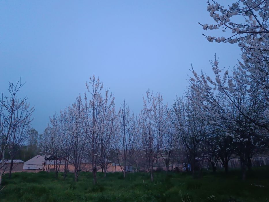 Yer sotiladi 30 so'tik