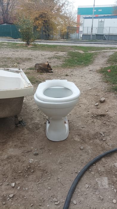 Унитаз с седлом без сколов