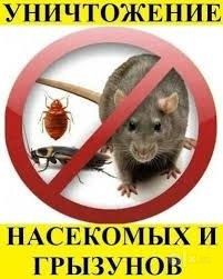 Дезинфекция клопы тараканы блохи мухи скорпионы мыши крысы