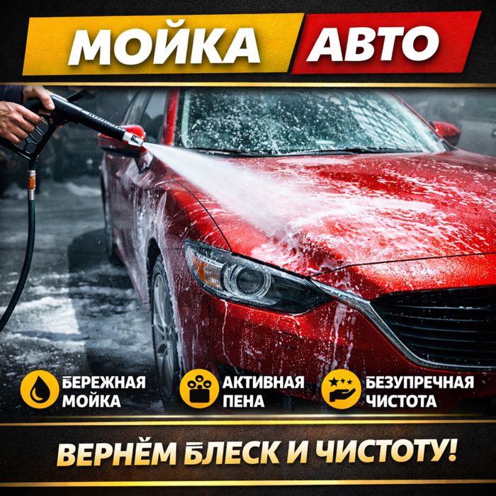 Выездная мойка химчистка