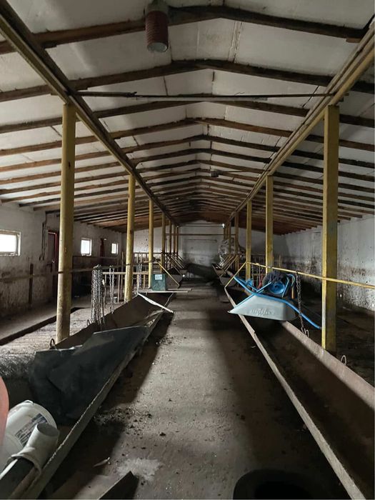 Продается хозяйство