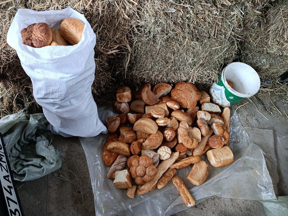 Хлеб разных сортов