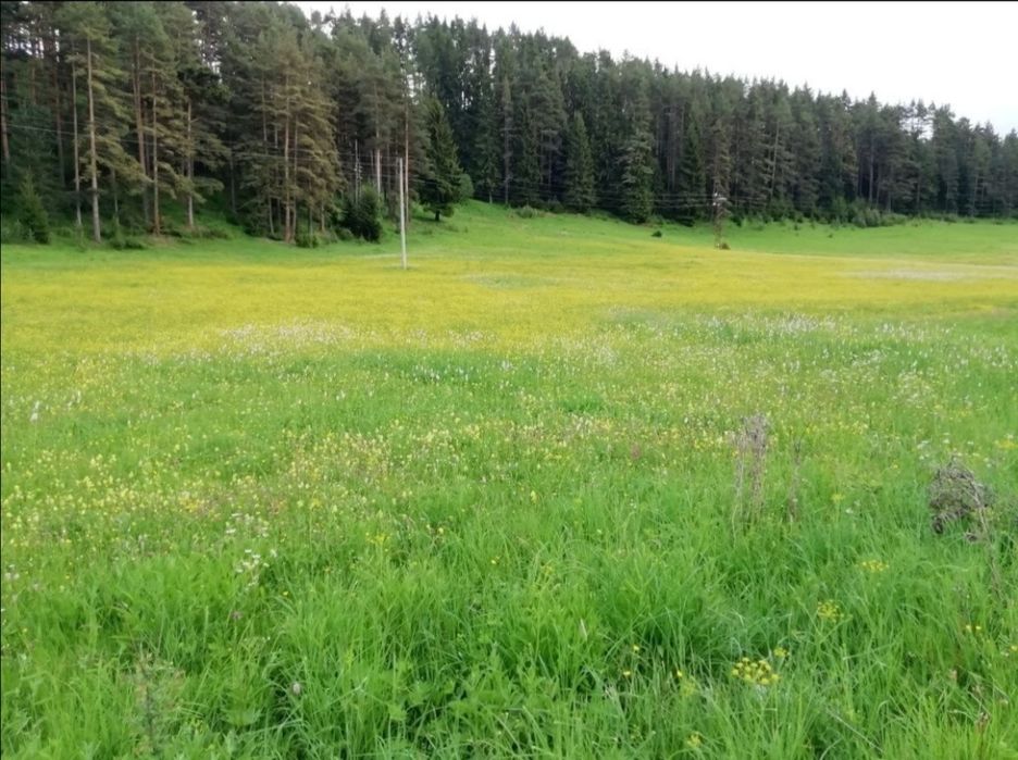 Парцел в с. Маджаре, обл. София