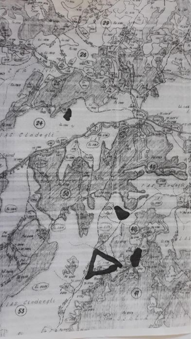 5 hectare / 4 loturi - Frasinet, Jud. Buzau