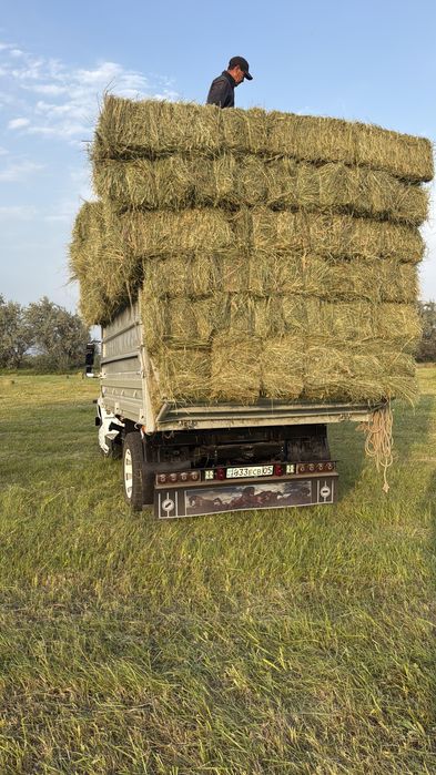 Сено Люцерна с доставкой