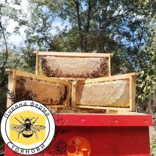 Натурален пчелен мед