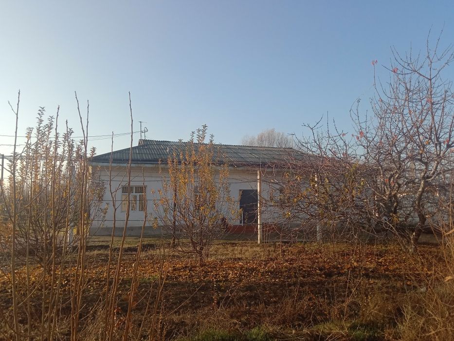 Коттакон Уй сотилвотти срочна 30 сотих