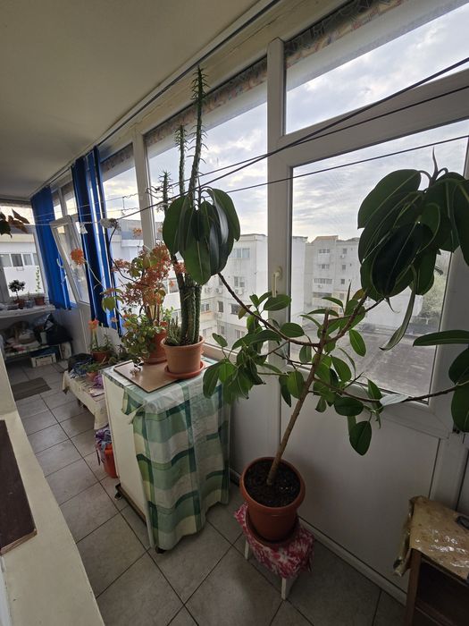 Apartament 2 camere progresul