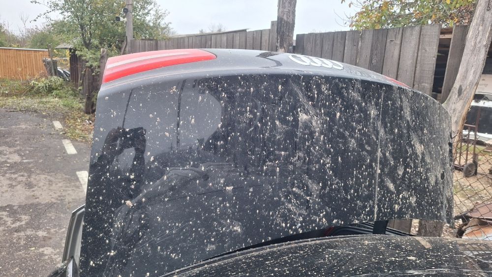 Capota haion audi a6 c7 sline interior piele  plafon negru