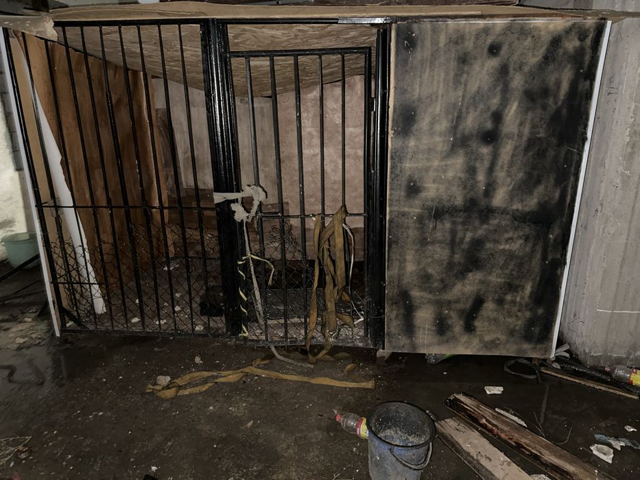 Волер  для собака