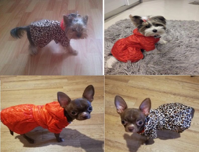 Дрехи за куче топли дрешки за куче домашен любимец